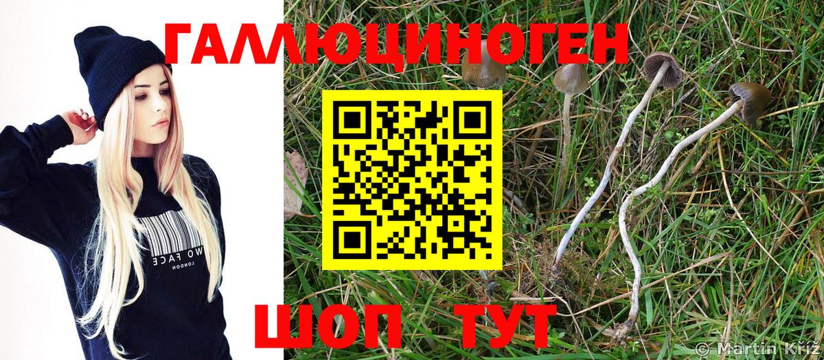Гусев  Псилоцибиновые грибы Magic Shrooms  Вход с VPN  Галлюциногенные грибы ЛСД 